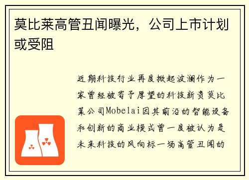 莫比莱高管丑闻曝光,公司上市计划或受阻